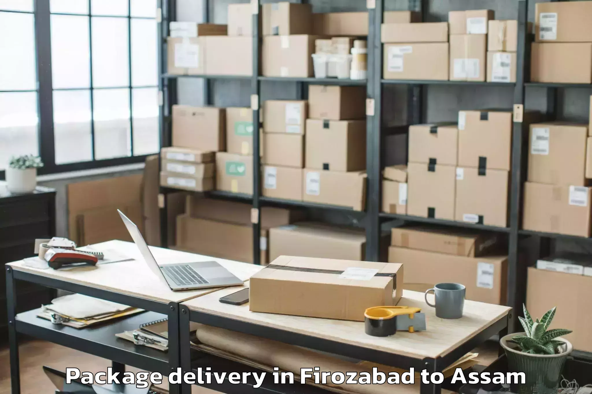 Professional Firozabad to Kalaigaon Pt Package Delivery